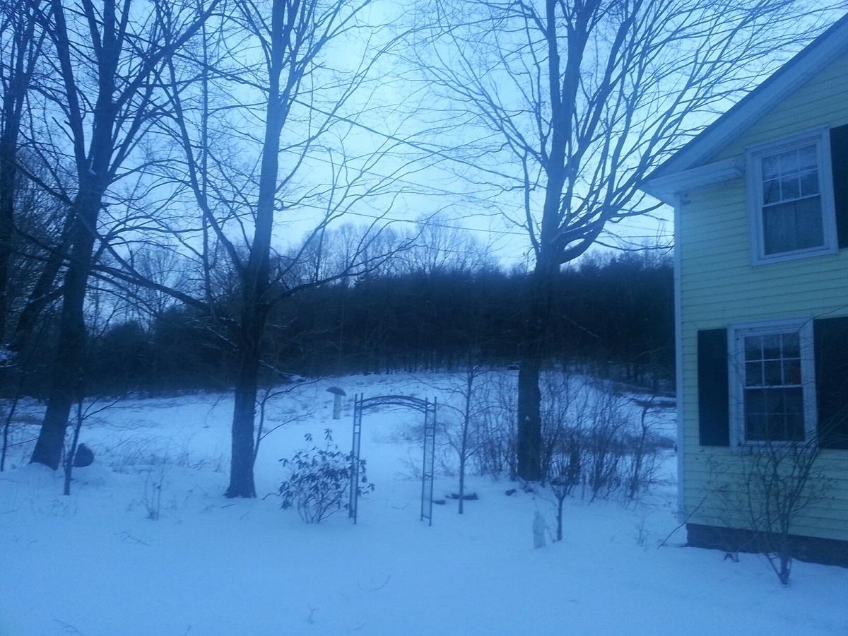 Bed & Breakfast A Meadow House *